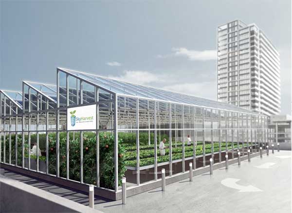 Mái kính xếp lớp công trình lớn